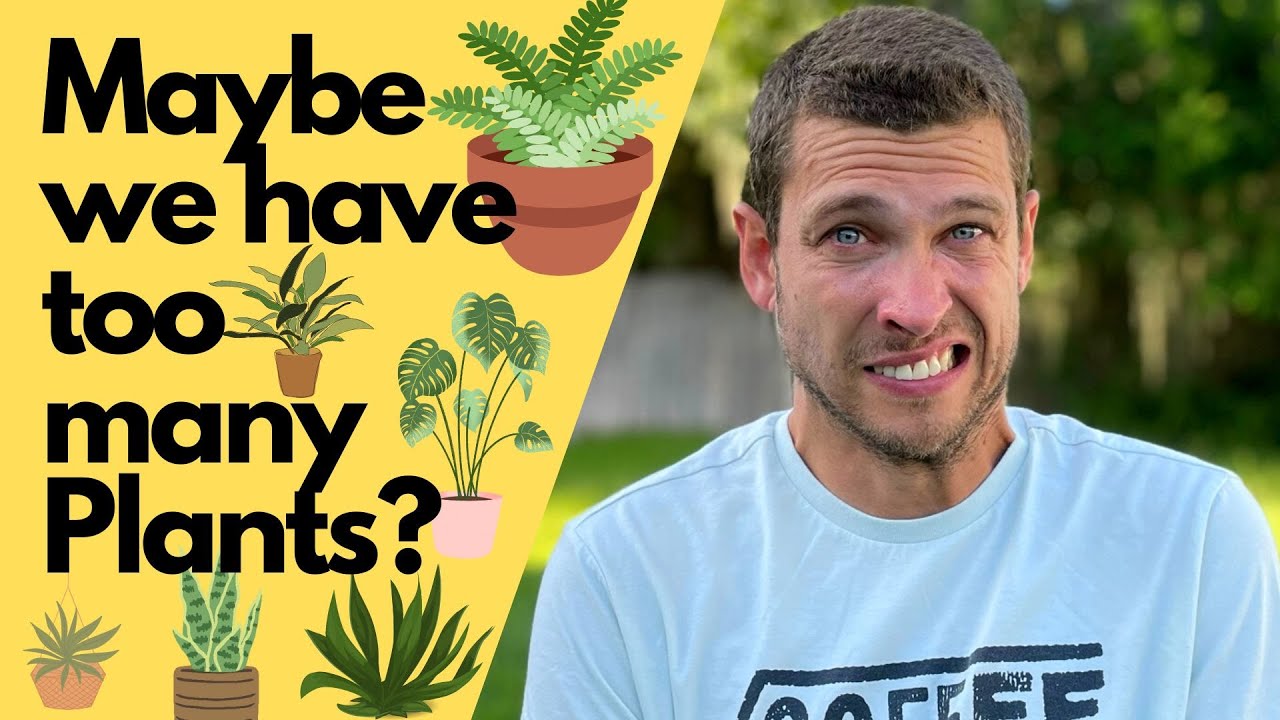 Is your Wife Addicted to Plants?