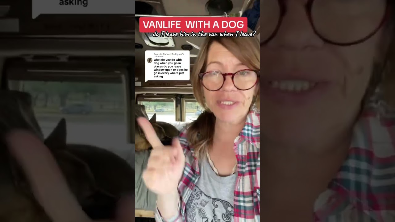 Vanlife with a dog? WORTH IT! #vanlifewithdogs #vanlifedog #vanlifedogs