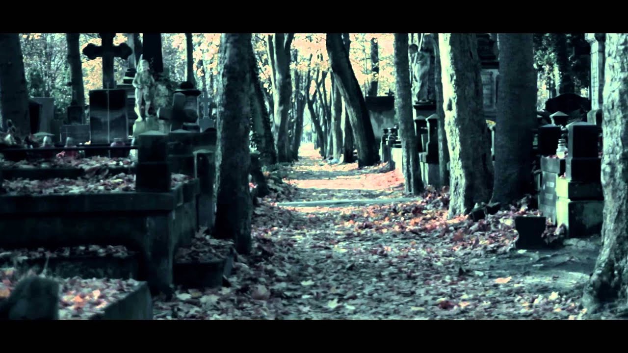 Karat NM / CS - PAMIĘĆ O TOBIE (Dla Kotona) // Ft. TWM, Bliźniak PWR.