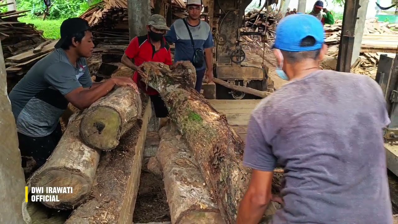 Brownish black wood, a rare wood found in sawmills