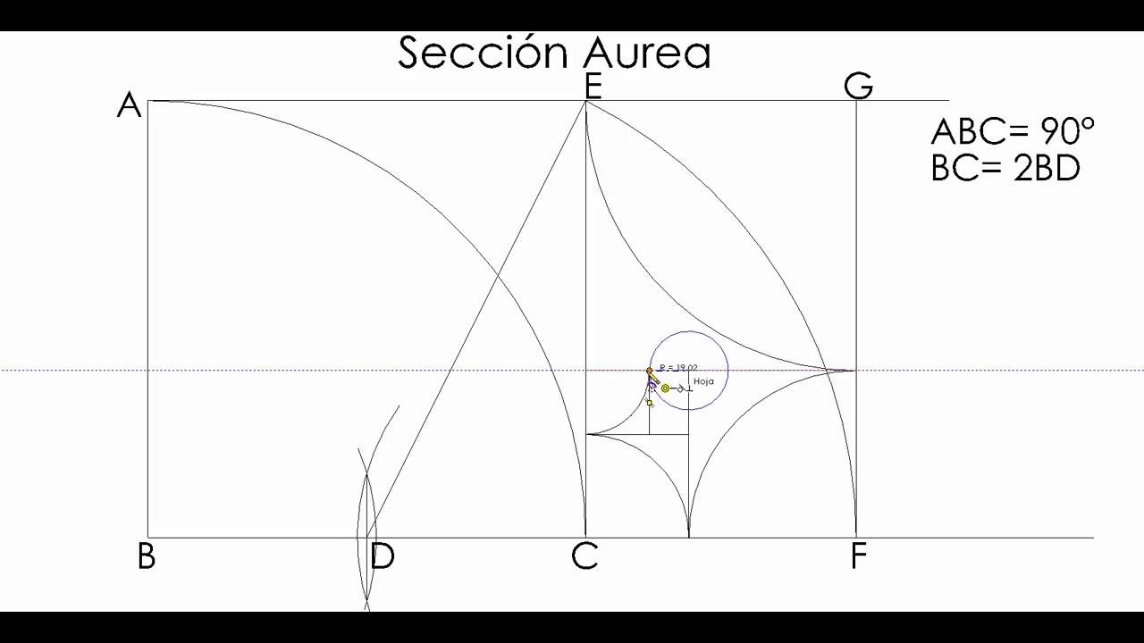 Geometría descriptiva: sección aurea.