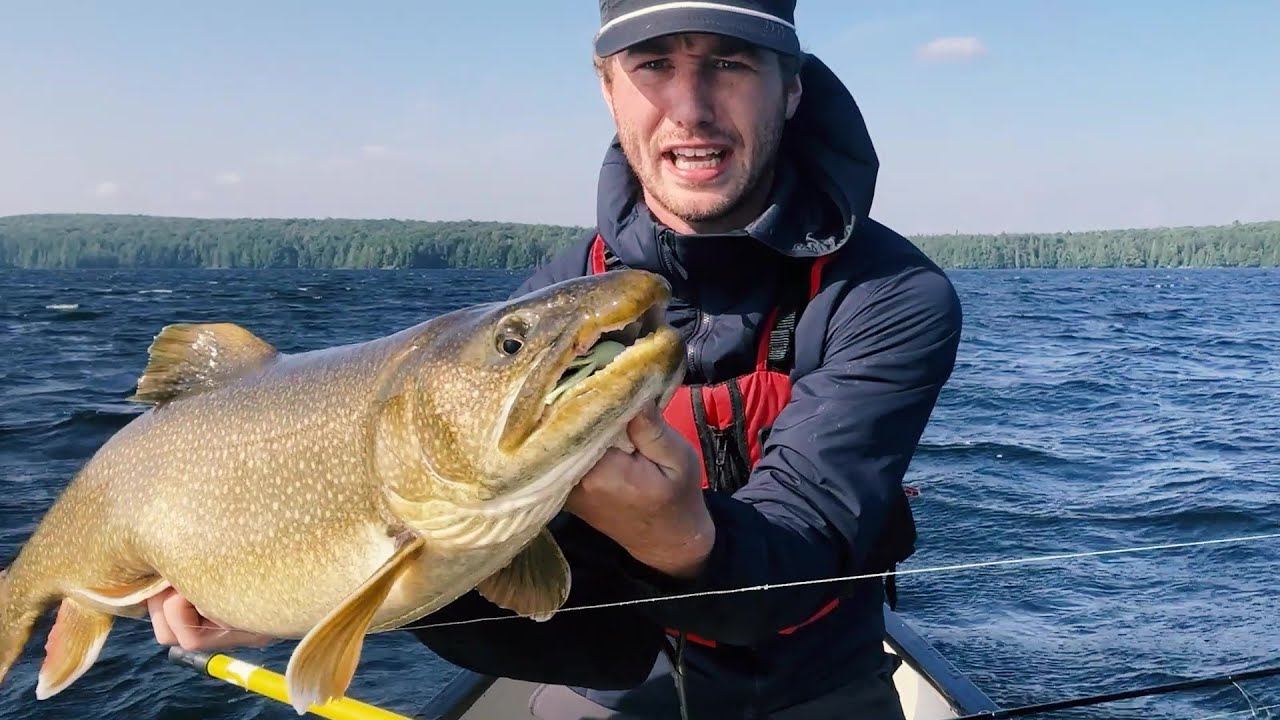 Catching my biggest Lake Trout from canoe