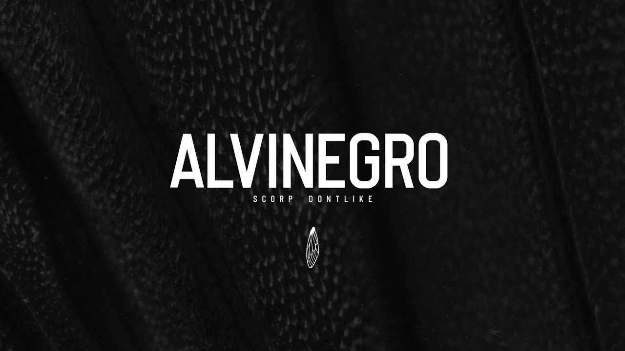 SCORP X DONTLIKE - ALVINEGRO