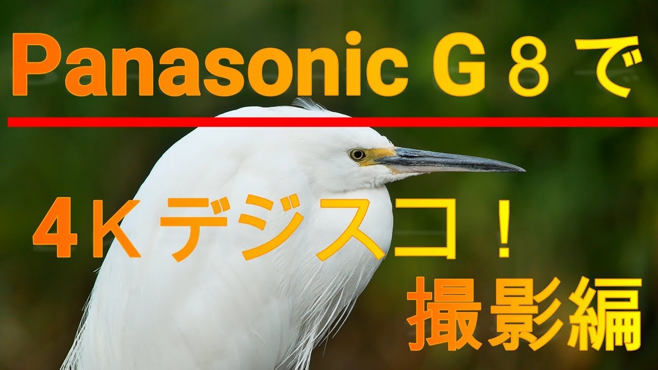 Panasonic G8で4Ｋデジスコに挑戦！