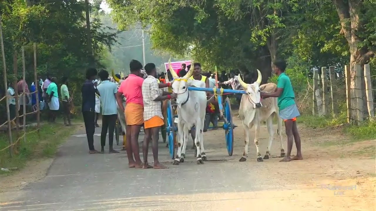 K.ஆத்தங்குடி சின்னமாடு  live 2026