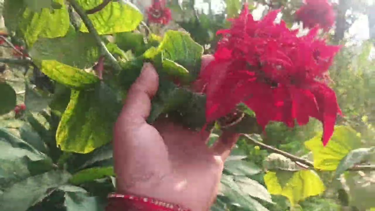     हम लोग कहां जा रहे हैं ❤️❤️
