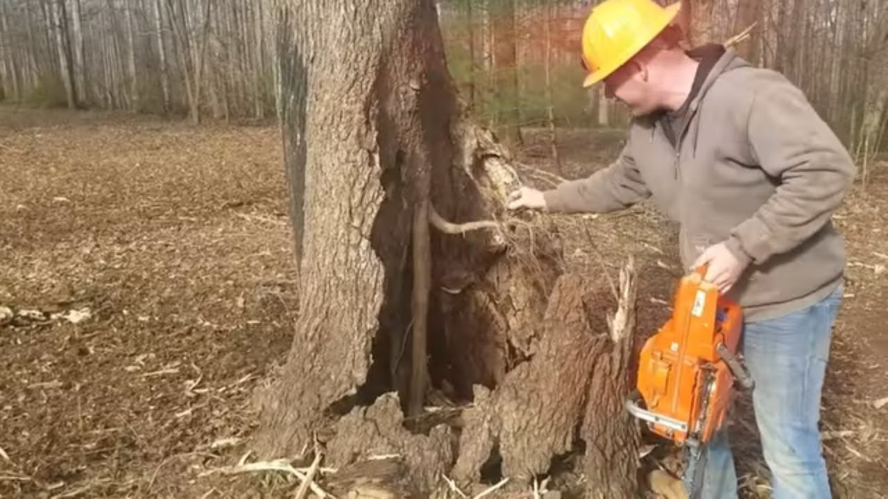 What would Letsdig18, Buckin' Billy Ray, or Logger Wade do?