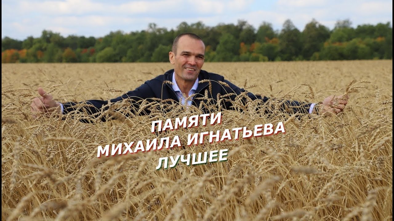 Михаил Игнатьев - лучшее, и другие моменты