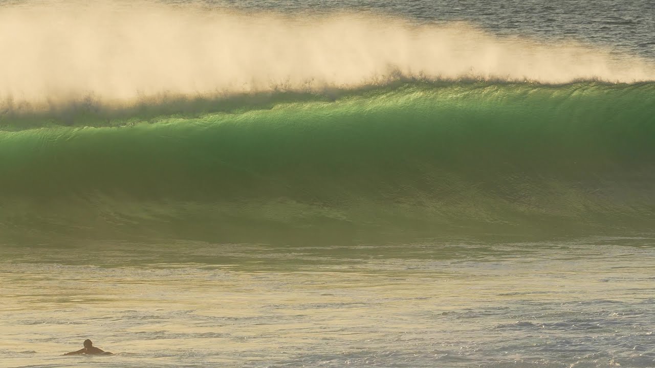 DREAMLAND GOES WILD – BIG SETS SLAM THE LINEUP!