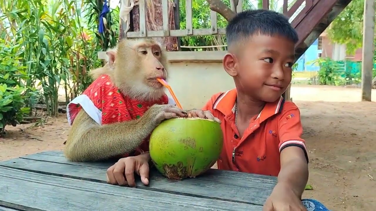 SokYaa SHARE Fresh Coconut Water with Abii - SWEETEST FRIENDSHIP!