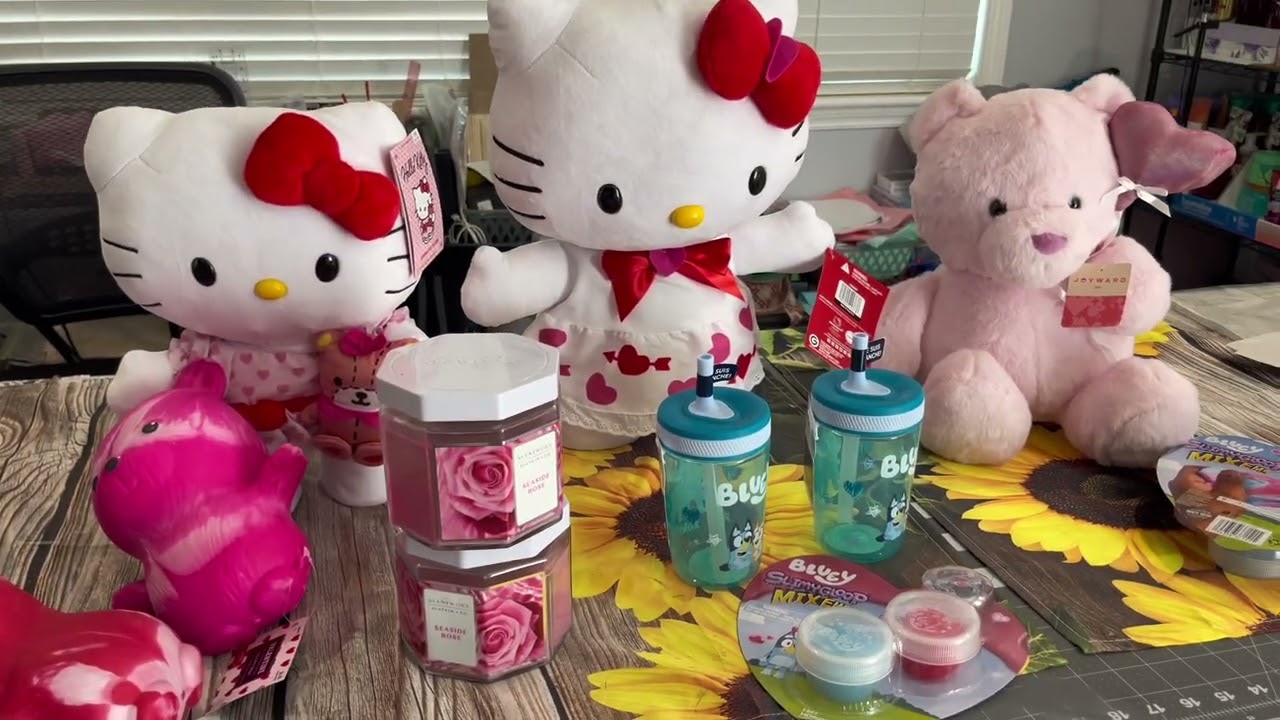 CVS and Bin store mini haul ￼