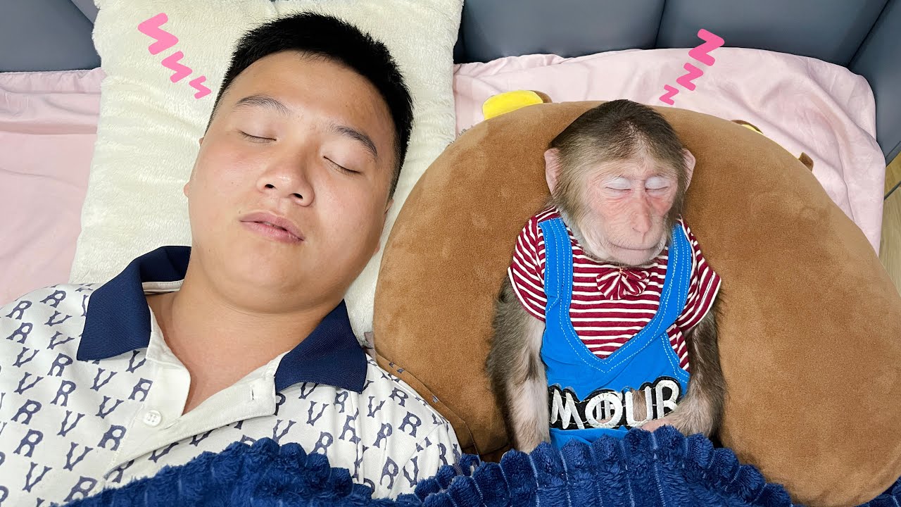 Super funny cute! Cubis hides from Aunt to sleep next to Dad!