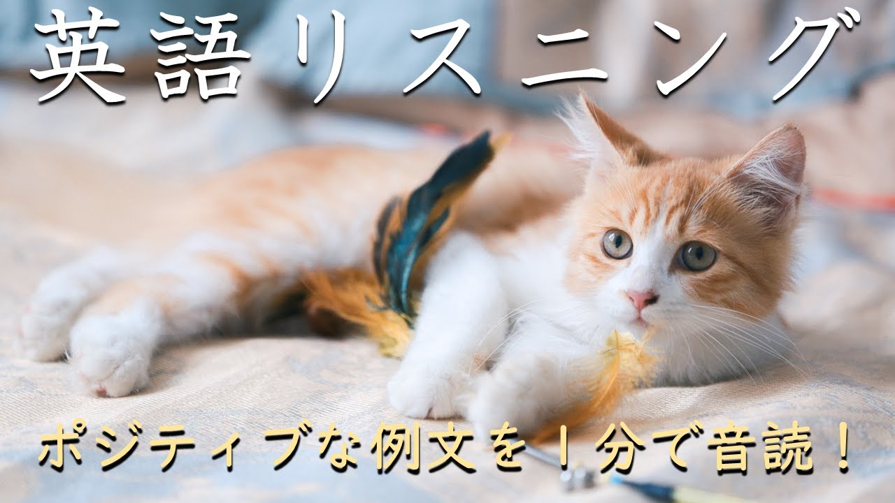 【ポジティブ例文１分だけ】超速英語リスニング_260125