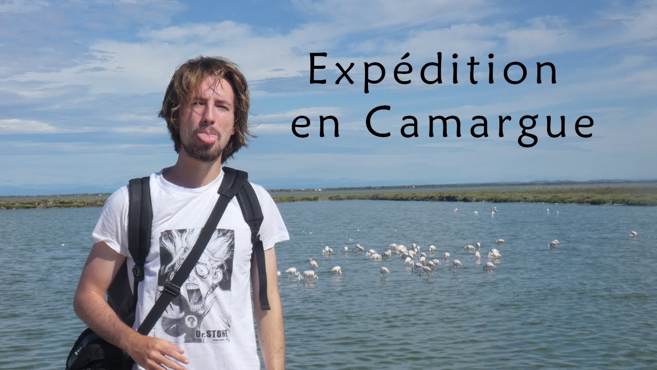 La Camargue - Chapitre 2 : Balade à Saintes-Maries-de-la-Mer