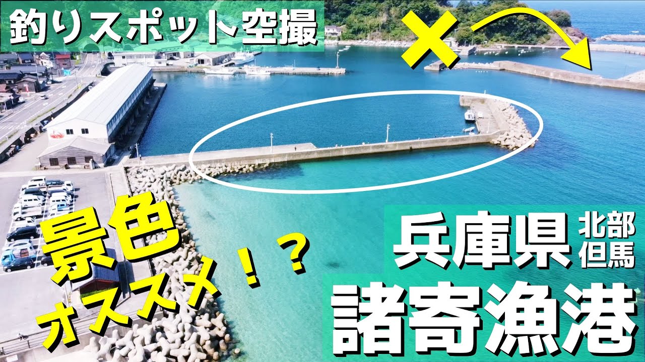 【諸寄漁港】地元のおじいちゃんが嘆く？城山園地から見える景色は・・・。新温泉町。釣りスポット空撮【兵庫県 北部但馬】