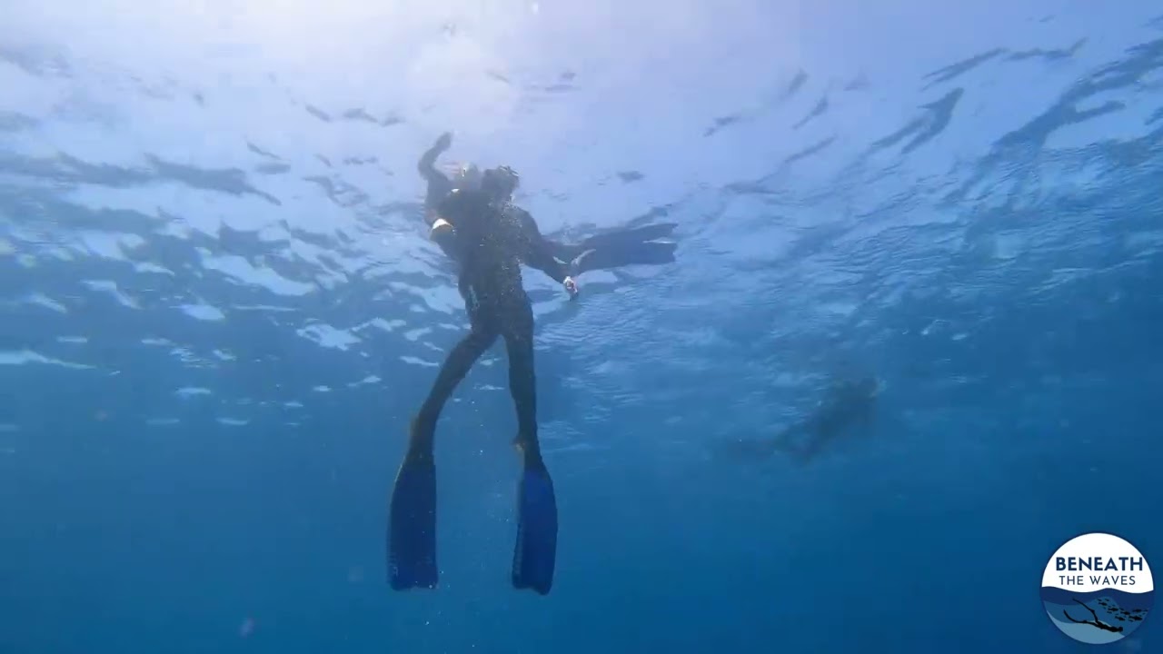 Try freediving Lanzarote Beneath the waves. AIDA Instructor  AIDA 2 AIDA 3 AIDA 4