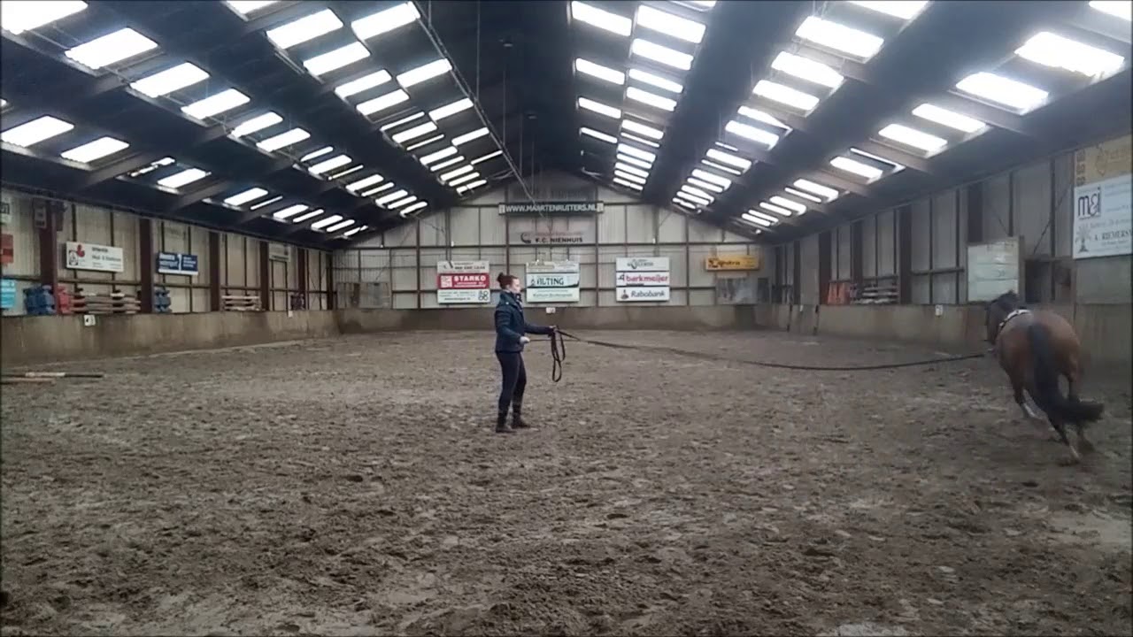 #5 Longeren met balkjes