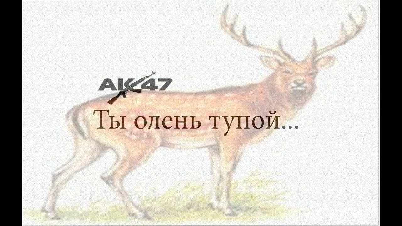 AK 47 - Ты олень тупой