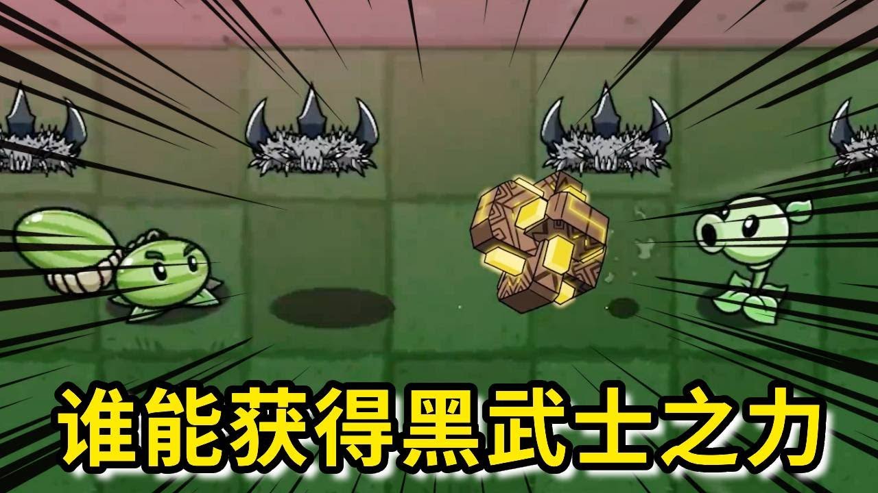 【植物大战僵尸】班级里有人考零分，大家都说是小豌豆，小豌豆放学刻苦练习，击碎陨石时候解救了黑武士豌豆，到底谁能获得黑武士之力！
