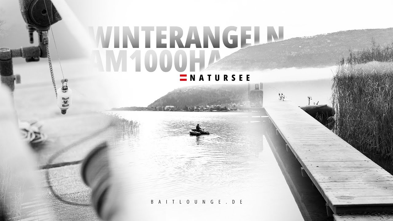 Winterangeln am 1000 Hektar Natursee 🇦🇹🎣🥶| Baitlounge | Karpfenangeln | Österreich | Big Lake