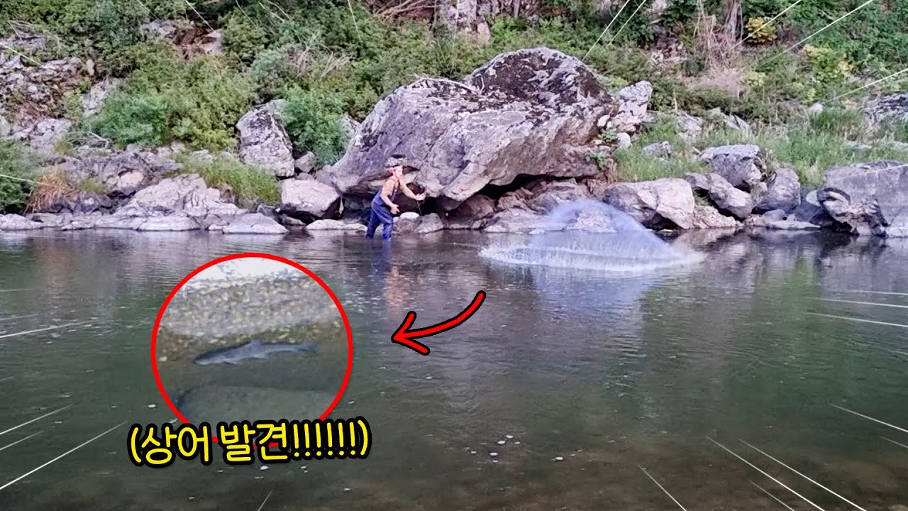 야심한 새벽에 아무도 없는 물속에서...!!
