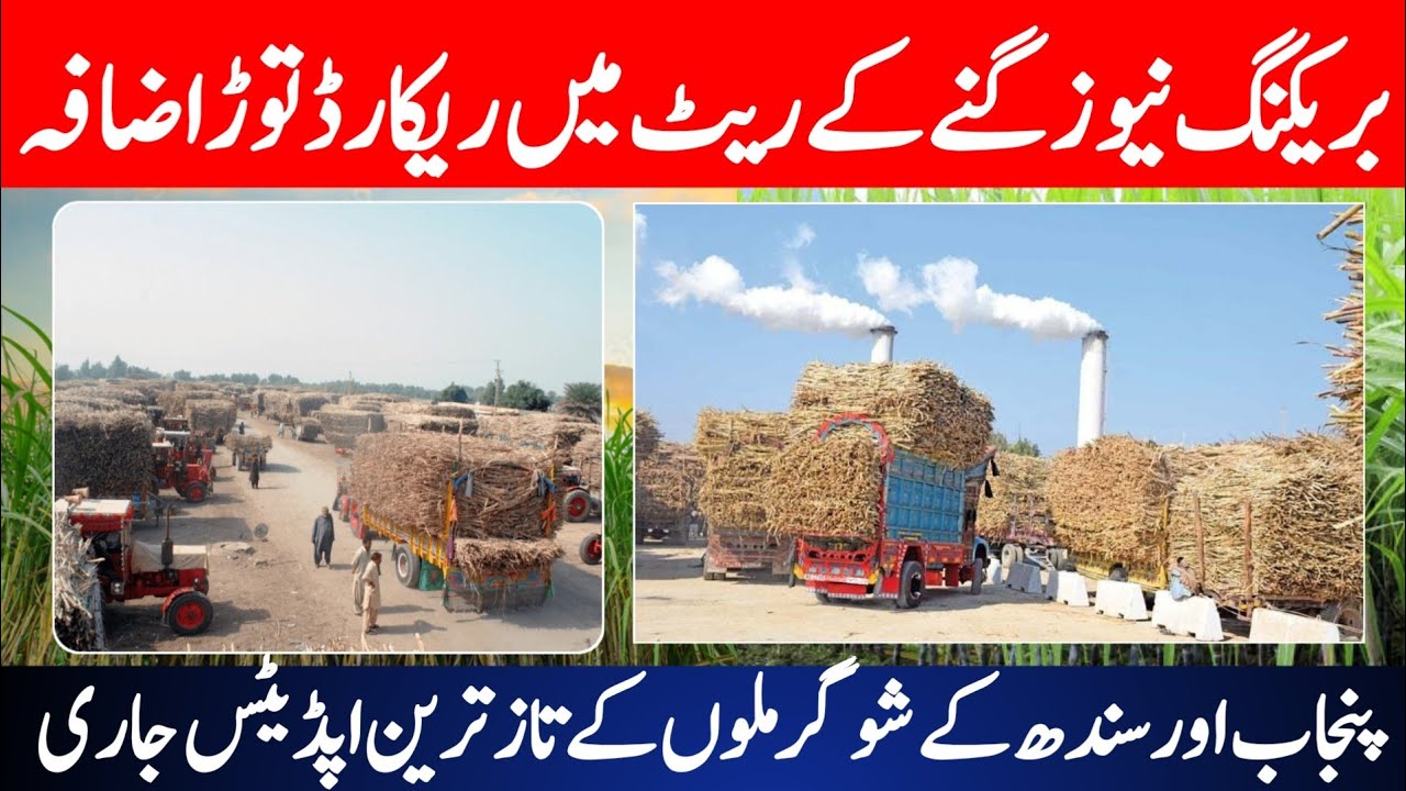 Sugarcane Price Increased Again | Latest Sugar Mill Rates Update 2026 | Farmers Good News