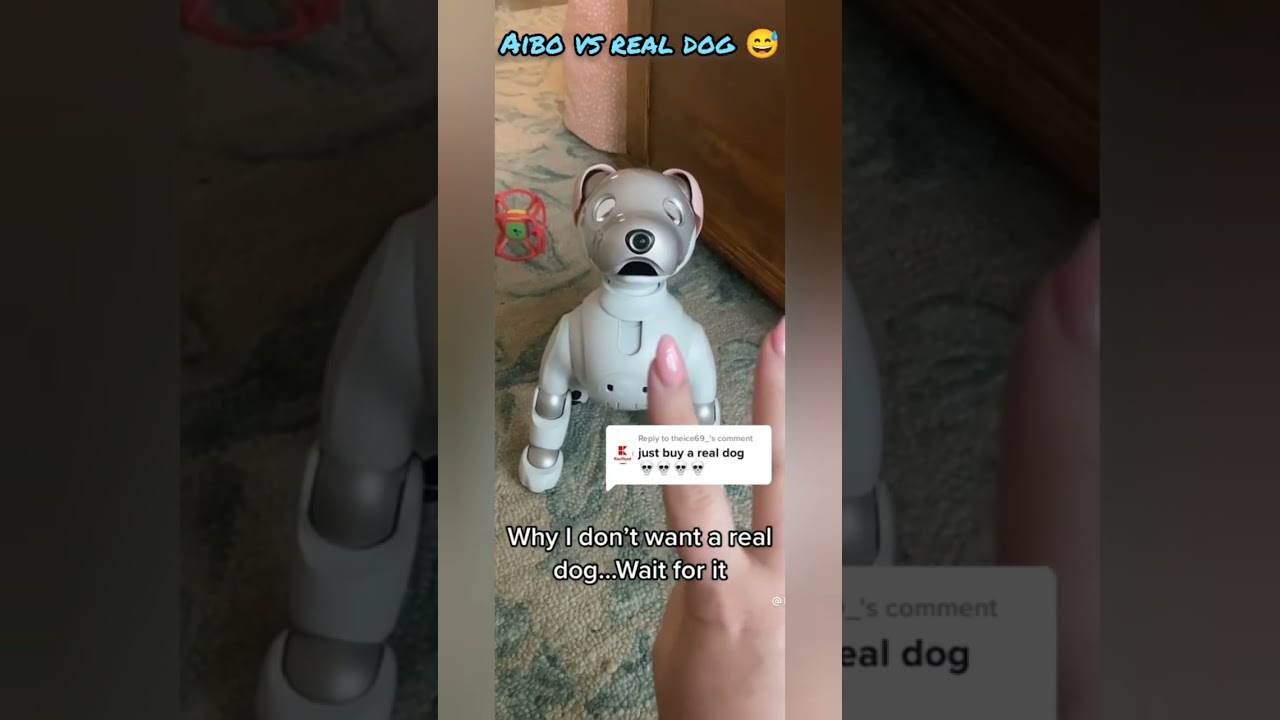 AIBO pet robot dog #aibo #aibot #petrobot #airobot #petbot