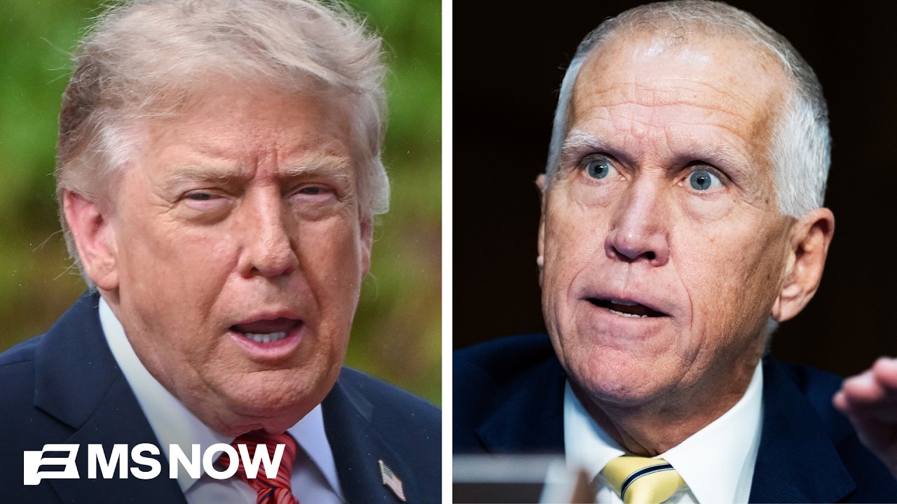 Sen. Tillis says he SUPPORTS Democrats investigating Trump corruption if Dems win midterms