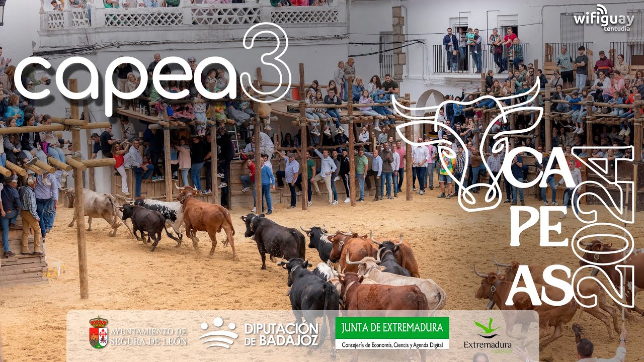 PARTE 1 | Capea SABADO 14 de Septiembre - CAPEAS Segura de León 2024