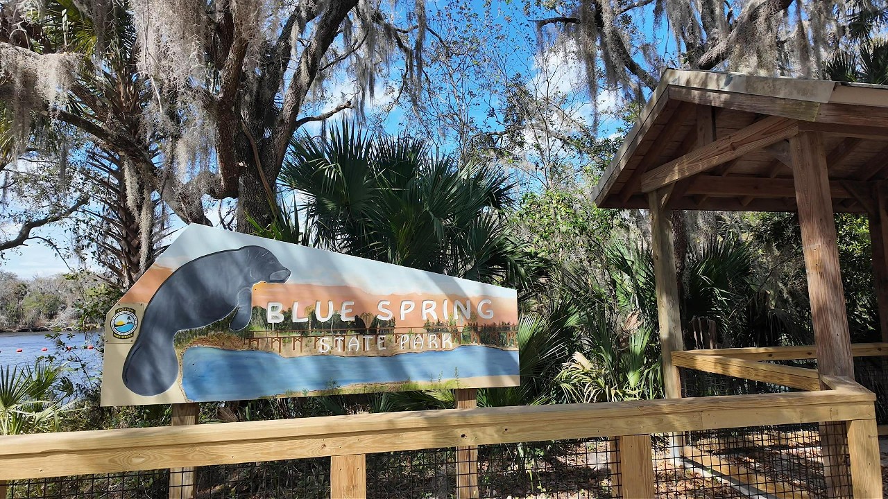Blue Spring State Park & Manatees!