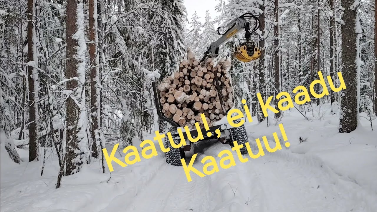 Puita pinoon, kävi miten kävi. 