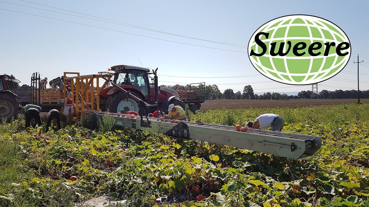 Harvesting belt 3-point heavy duty | Sweere