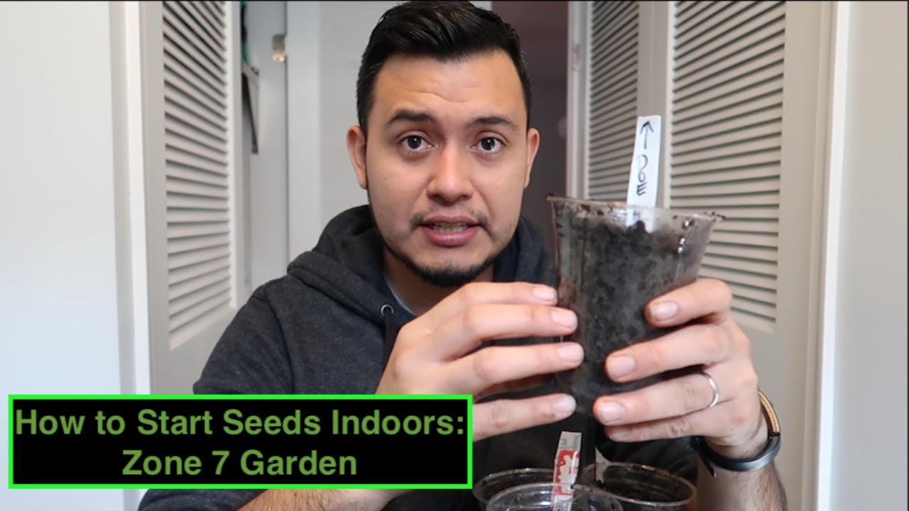 Start Your Seeds Indoors Now: Zone 7 Garden