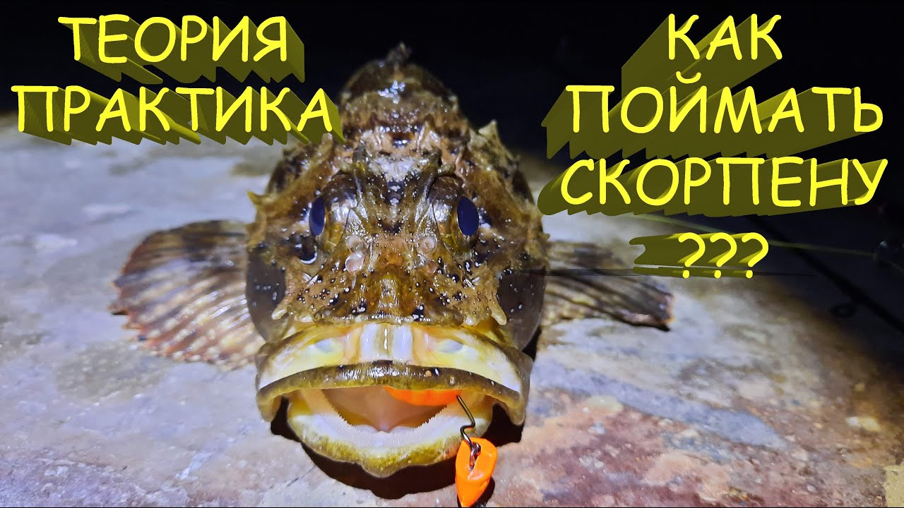 🔥 Как поймать СКОРПЕНУ на спиннинг? Теория и практика. Рыбалка в Крыму. Рокфишинг на Черном море 🔥