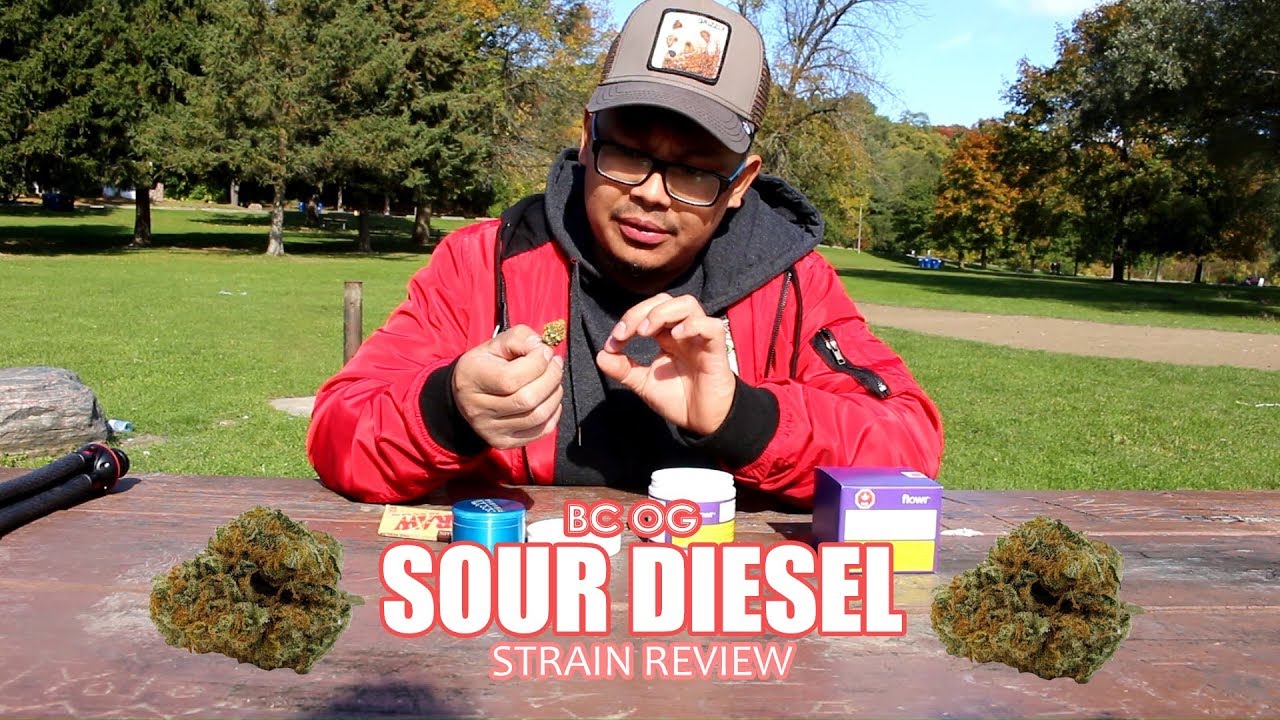 BC OG SOUR DIESEL - Super Strain Review