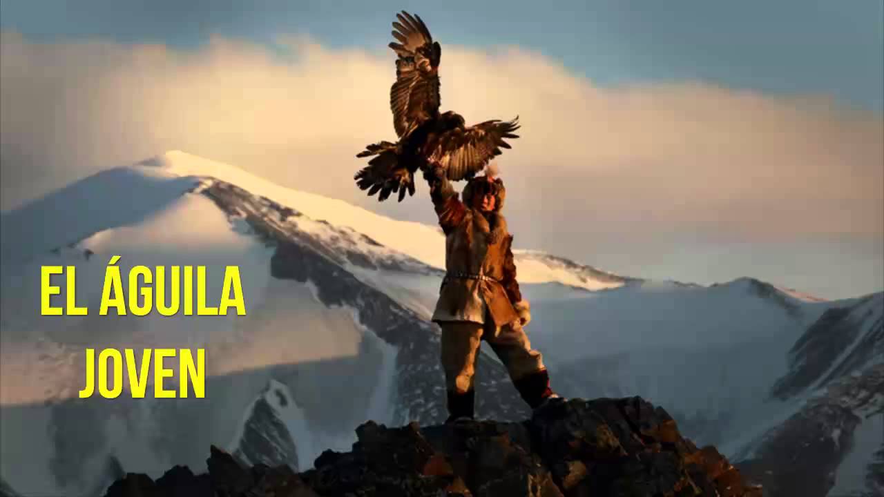El aguila joven, Reflexiones diarias, Reflexiones de vida