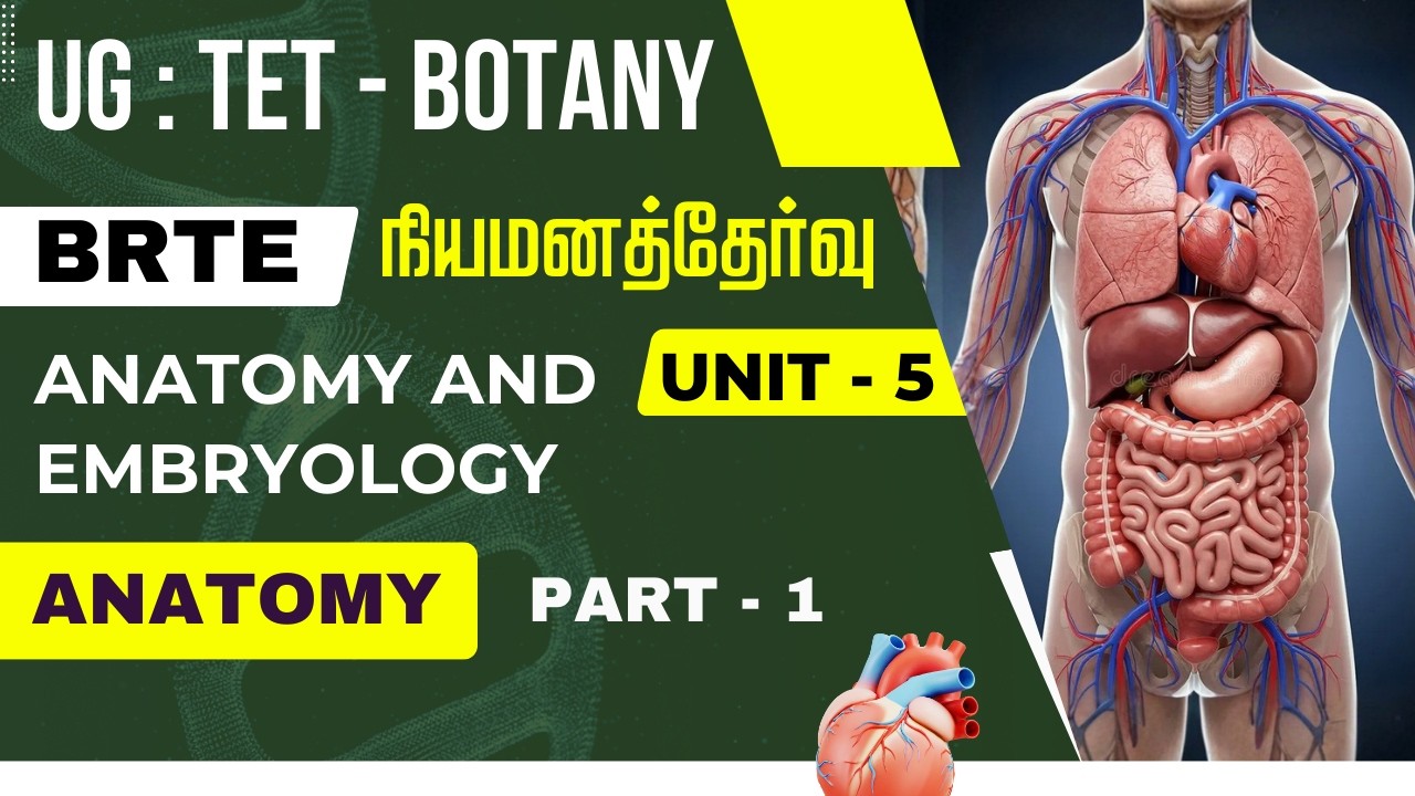 UG : TET - BOTANY - நியமனத்தேர்வு - UNIT - 5 - ANATOMY - PART - 1