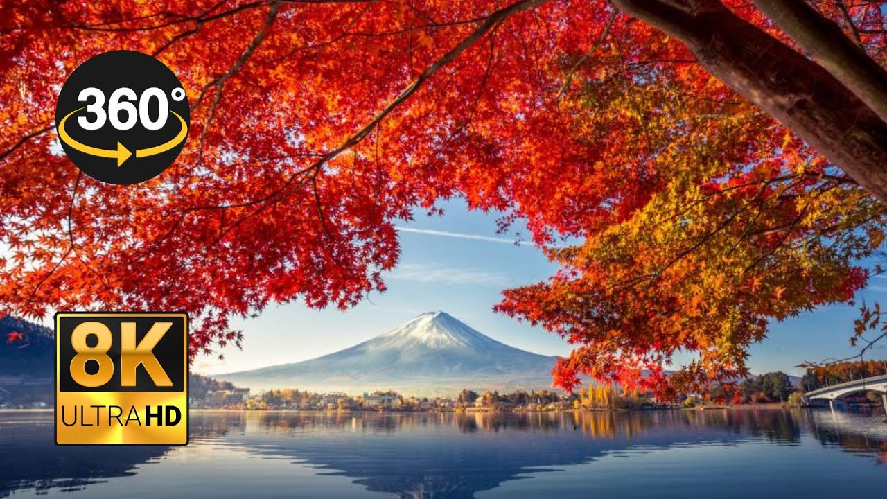 Autumn colors by the lake, Kawaguchi, Japan | 360º 8K
