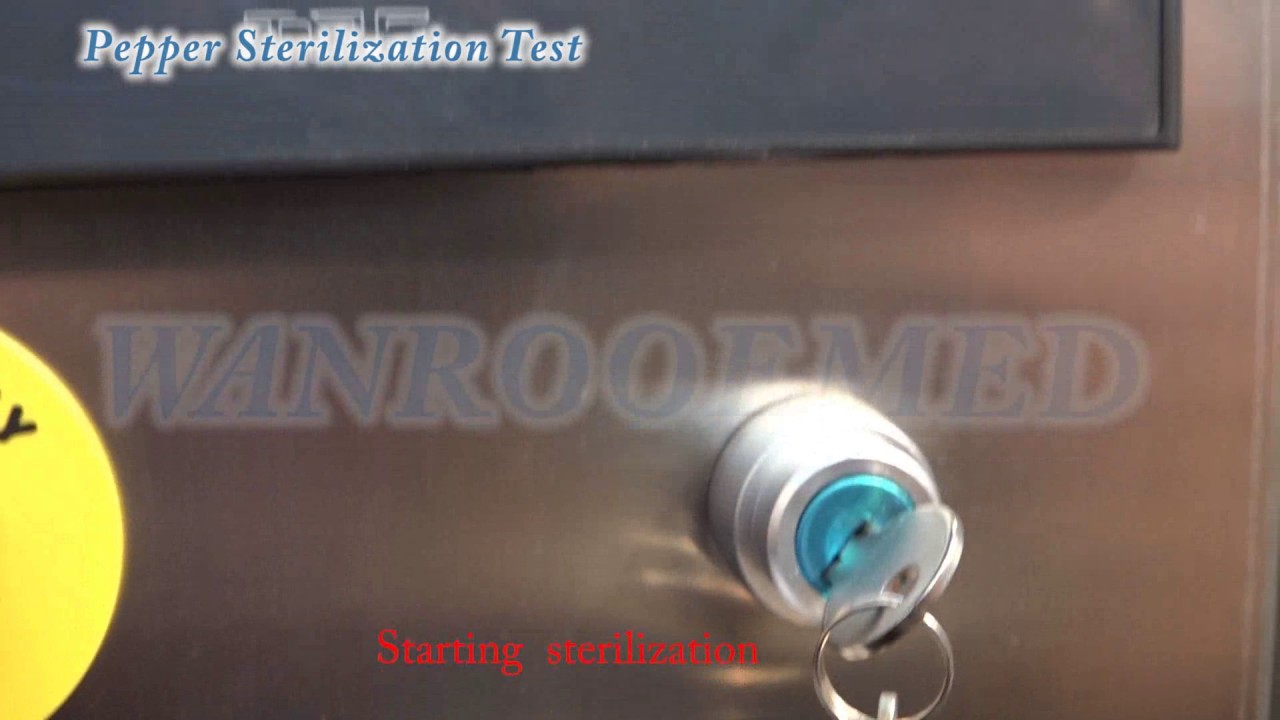 DZG Series Pulse Vacuum Food Steam Sterilizer