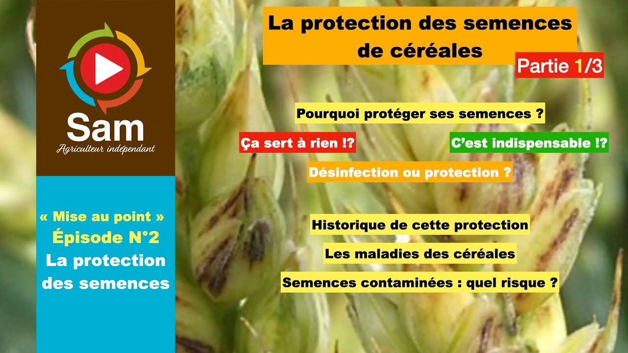 Mise au point #2 Maladies et protection des semences.De l'inconscience à la conscience ? Partie 1/3