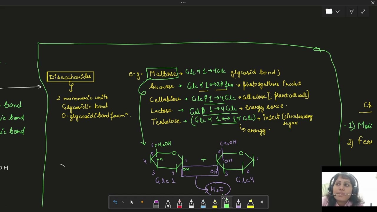 Polysaccharides in 5 Minutes | Homopolysaccharides You MUST Remember for Exams | Biochemistry