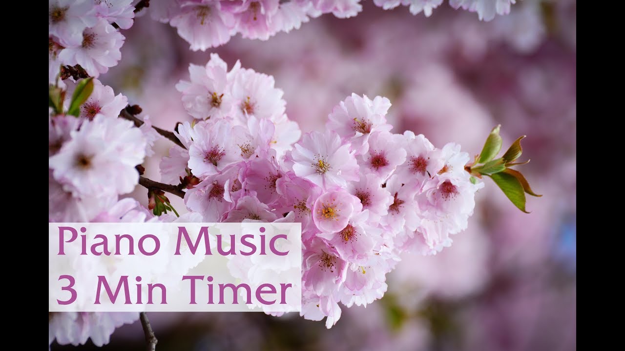 3 Minute Timer, Piano Music and Rain , Nature Sounds