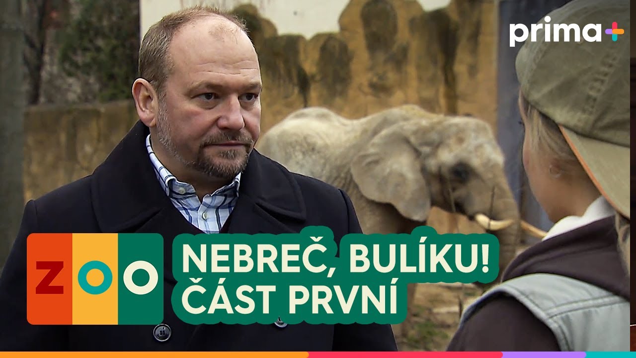 ZOO (17): Nebreč, Bulíku! – část 1/3