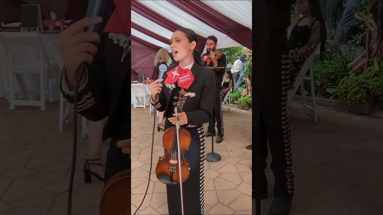 Mi Gusto Es - Mariachi Folklore