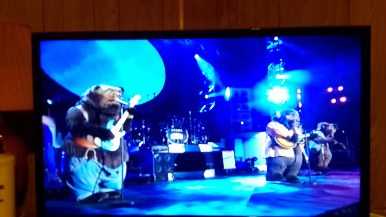 THE COUNTRY BEARS