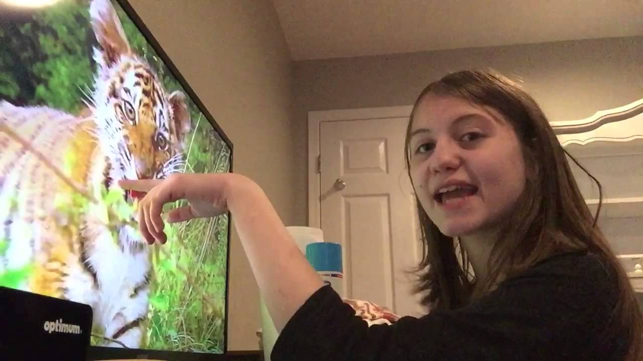 Let's Watch Baby Einstein: Wild Animal Safari Part 8