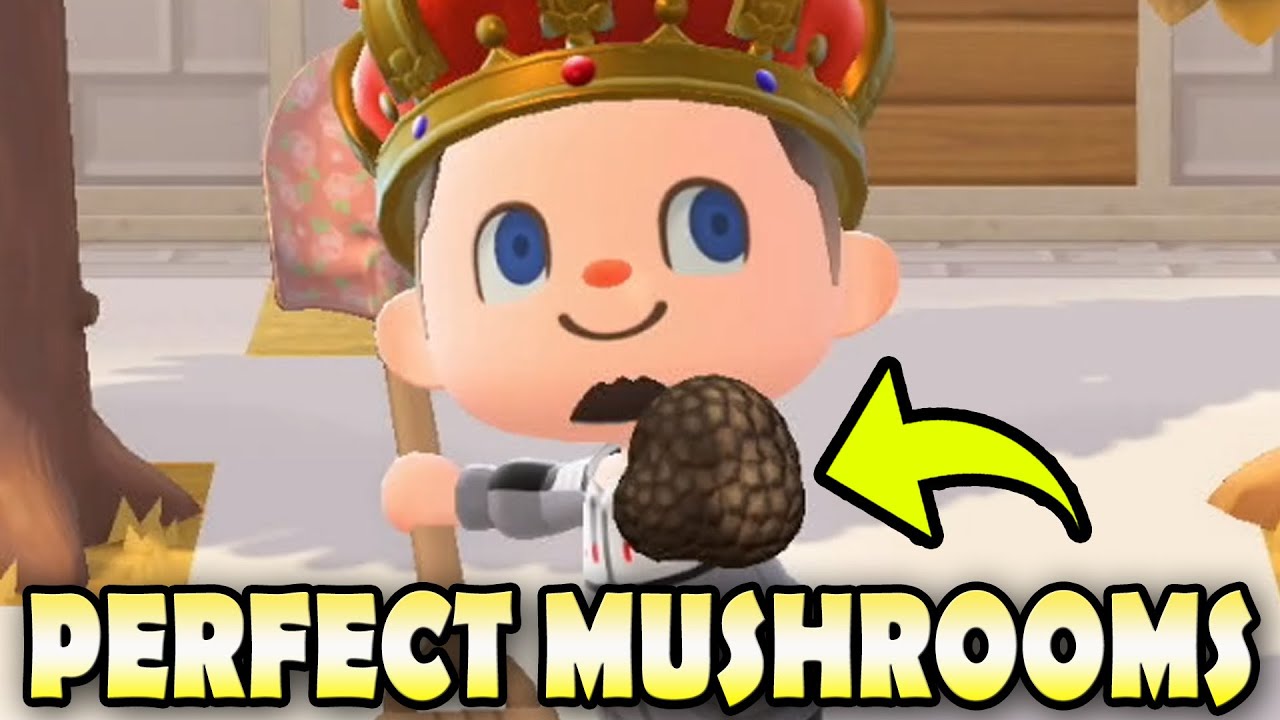 🍄 25 MUSHROOM FACTS & How To Grow The PERFECT MUSHROOMS EASY In Animal Crossing New Horizons!