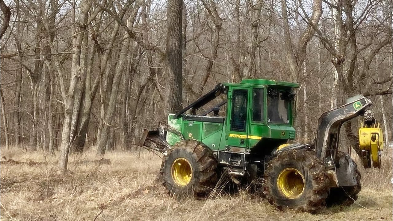 Pushing large walnut tree away from the road