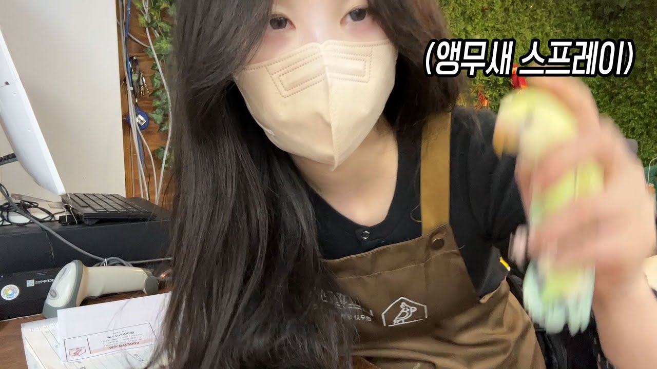 앵무새 흔드는 앵무새 카페 알바생
