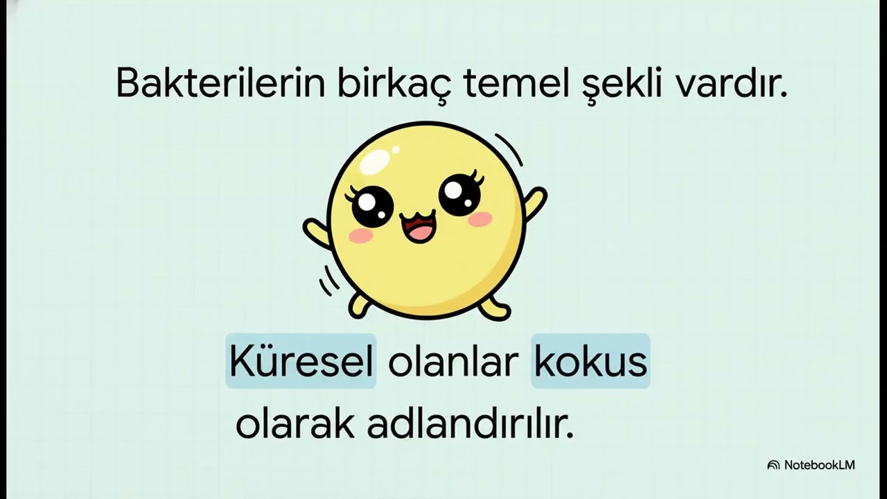 Bakteriler  Biyoloji ---Sinavio.co----